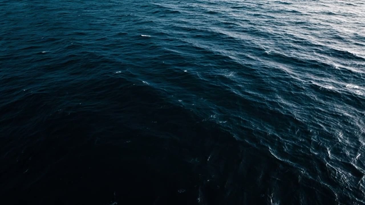 NewPortVela